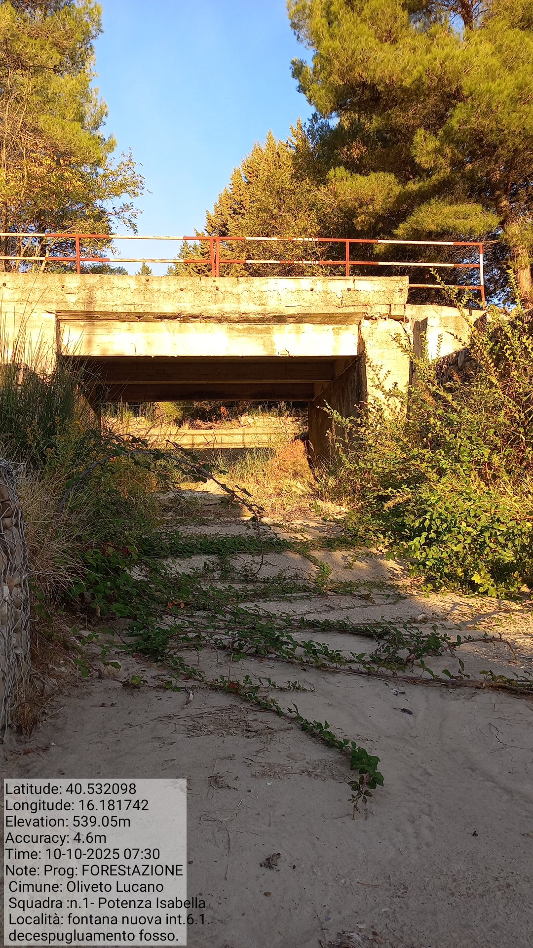 Galleria Fotografica Immagine