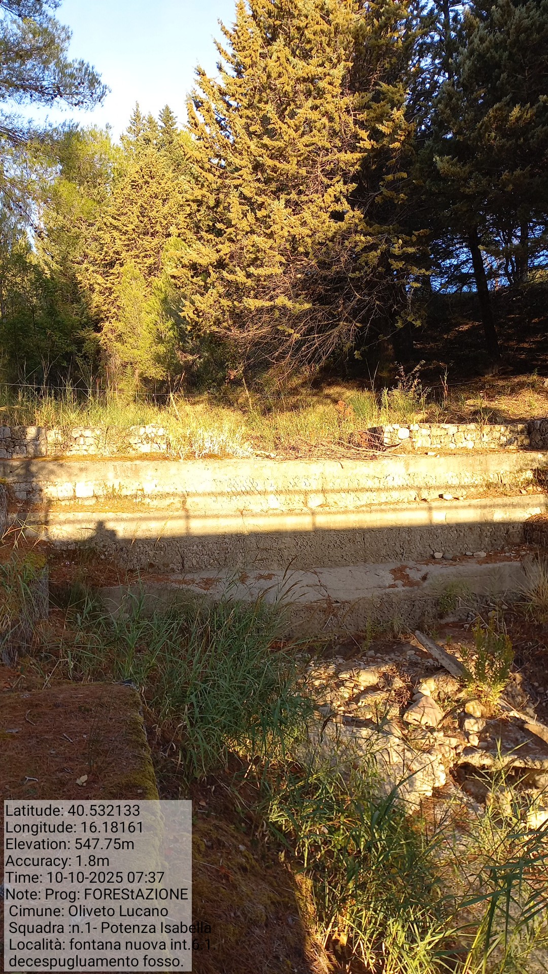 Galleria Fotografica Immagine