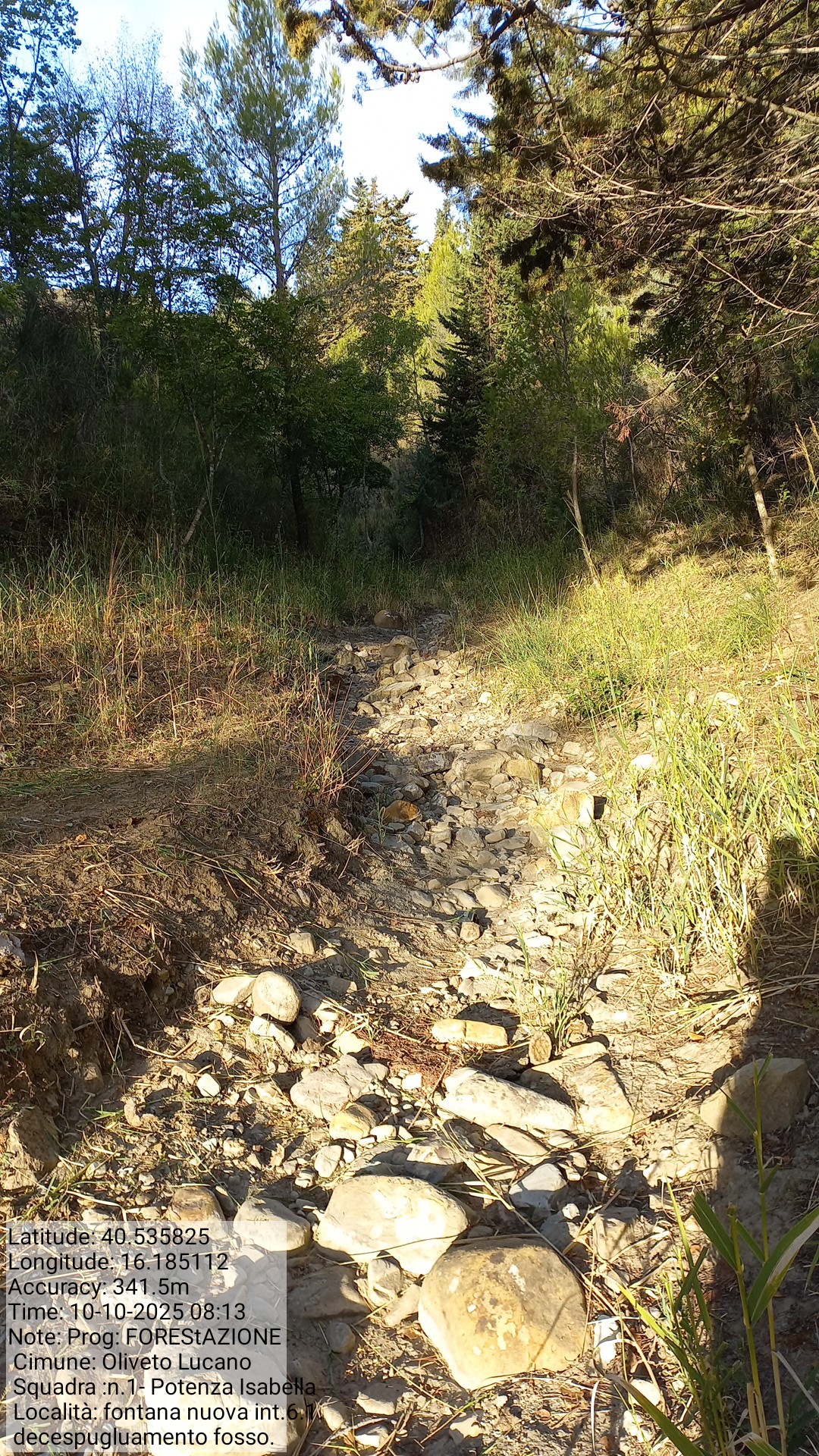 Galleria Fotografica Immagine