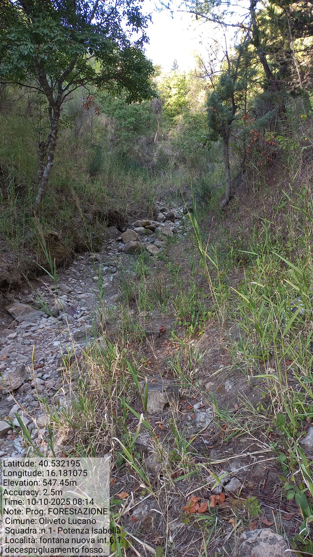 Galleria Fotografica Immagine