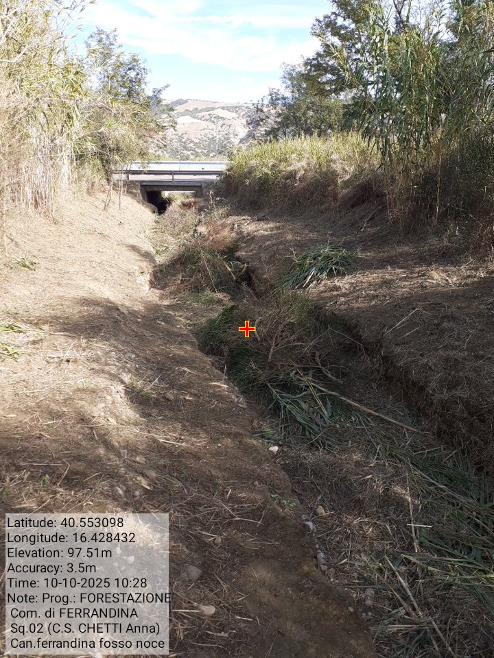 Galleria Fotografica Immagine