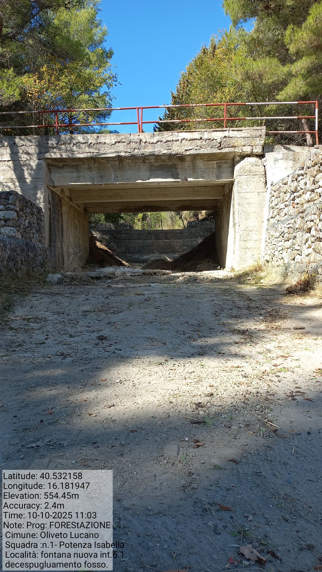 Galleria Fotografica Immagine