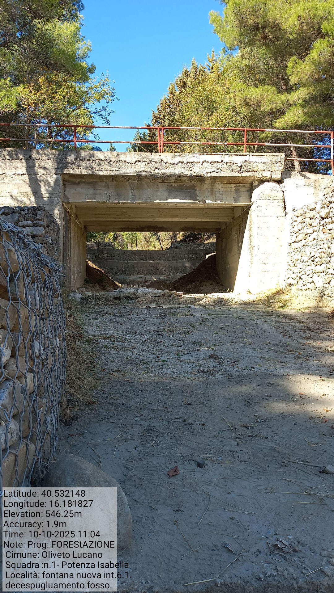 Galleria Fotografica Immagine