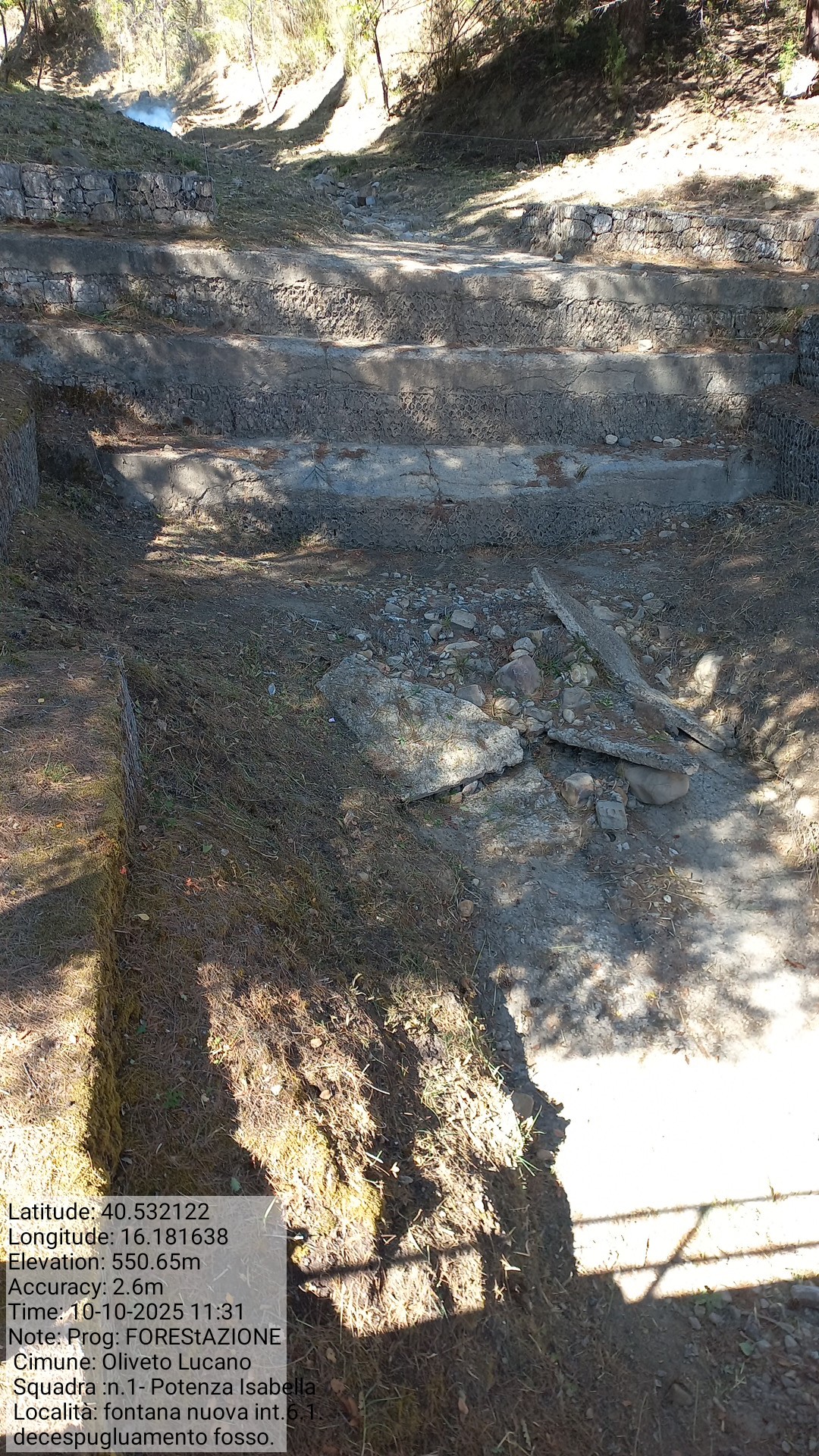 Galleria Fotografica Immagine