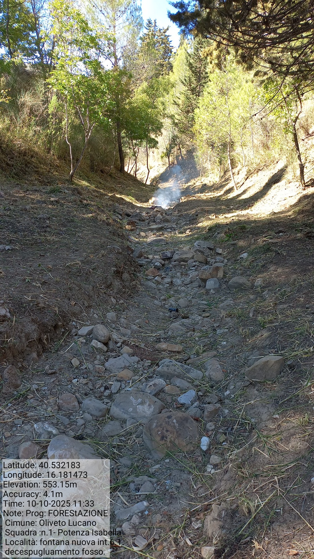 Galleria Fotografica Immagine