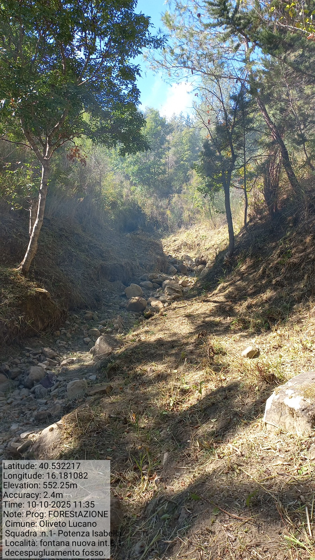 Galleria Fotografica Immagine