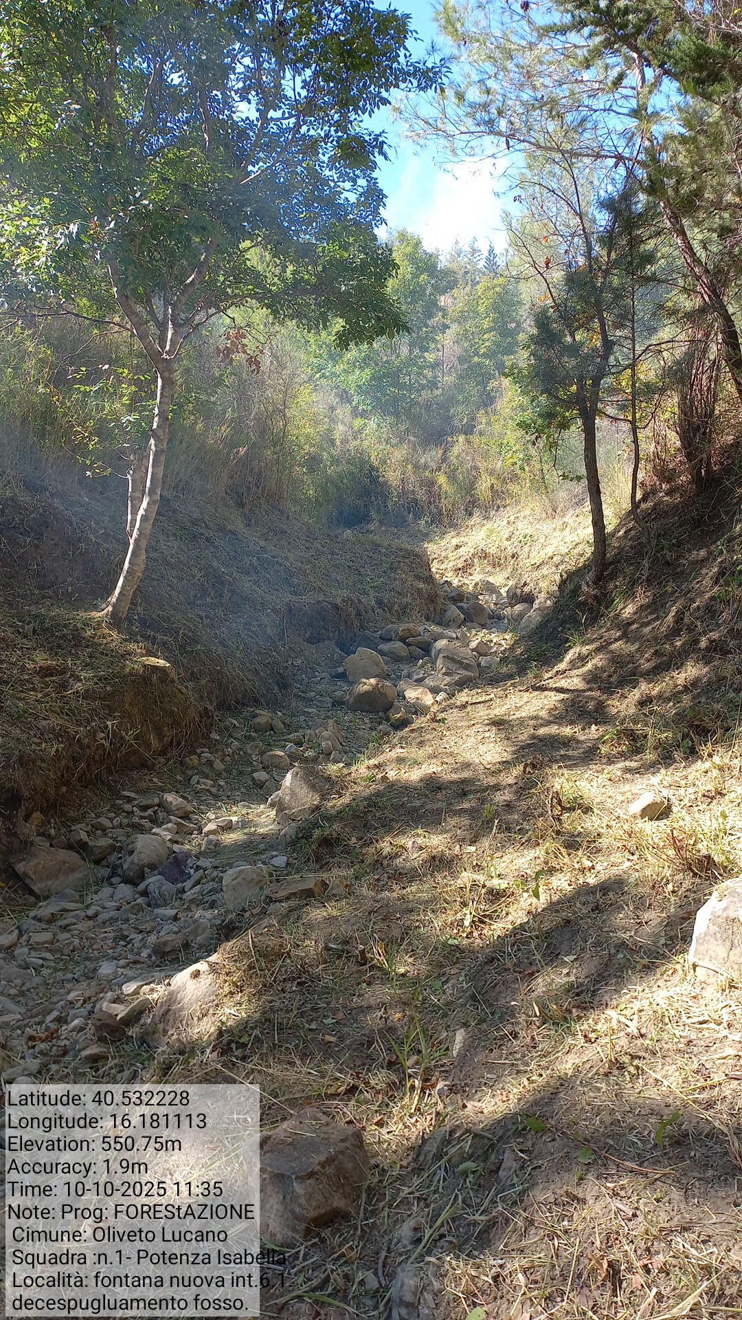 Galleria Fotografica Immagine