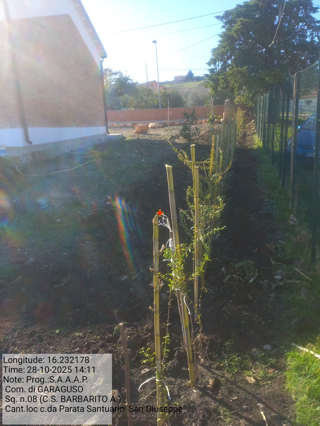 Galleria Fotografica Immagine