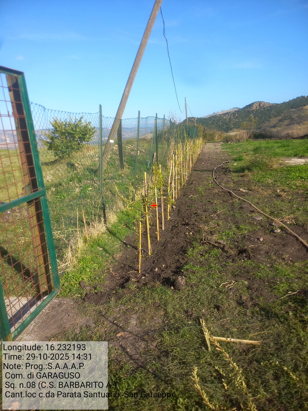 Galleria Fotografica Immagine