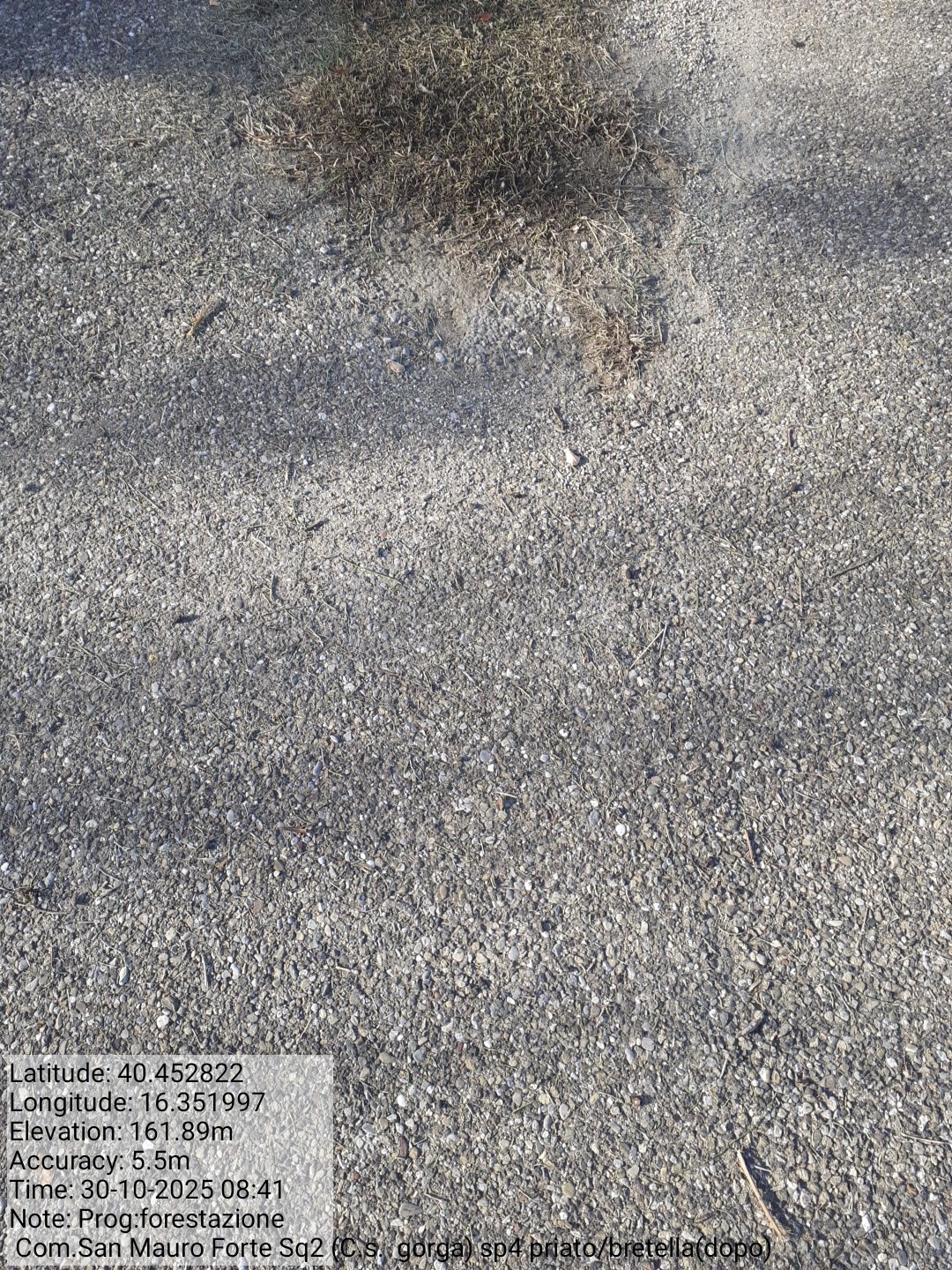 Galleria Fotografica Immagine