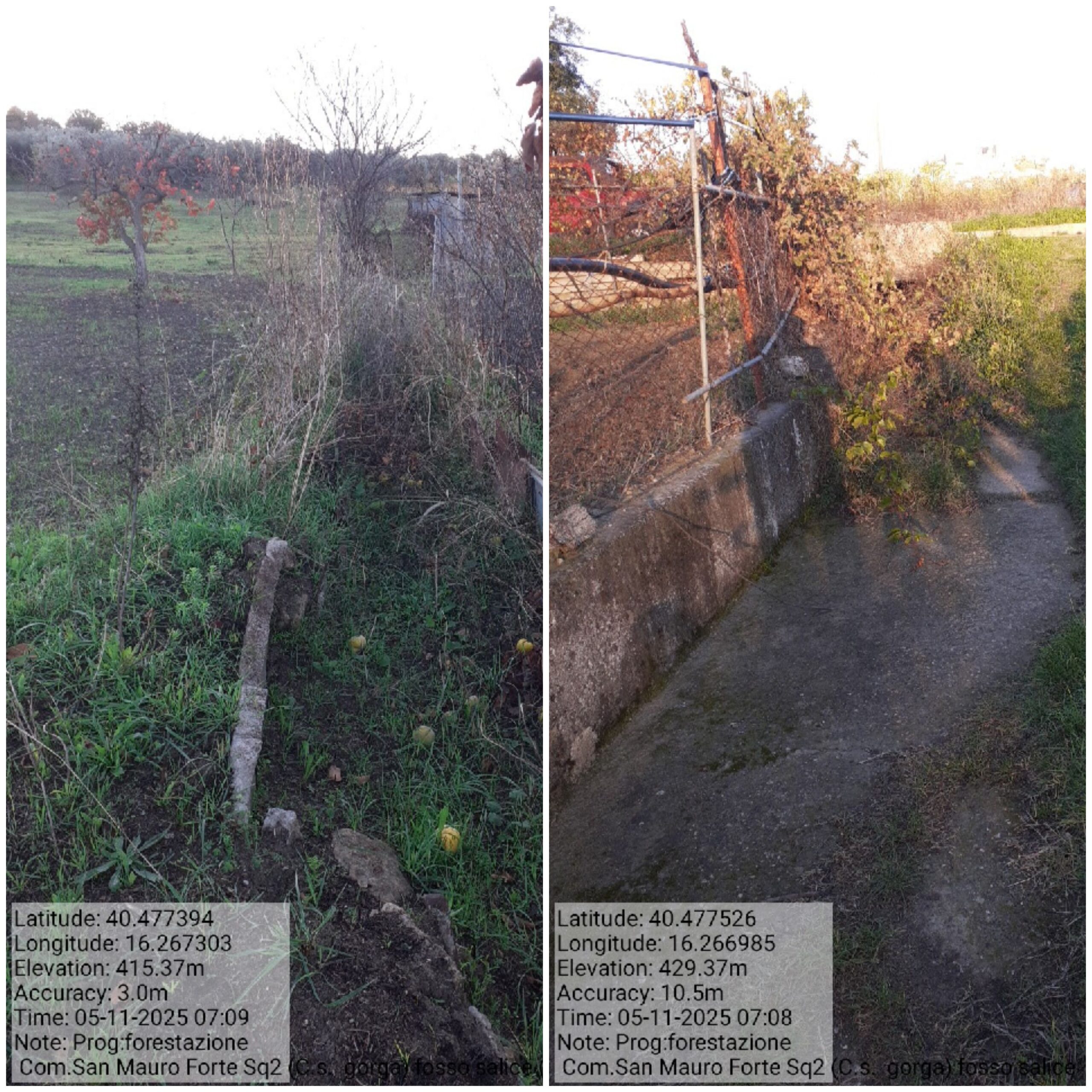 Galleria Fotografica Immagine