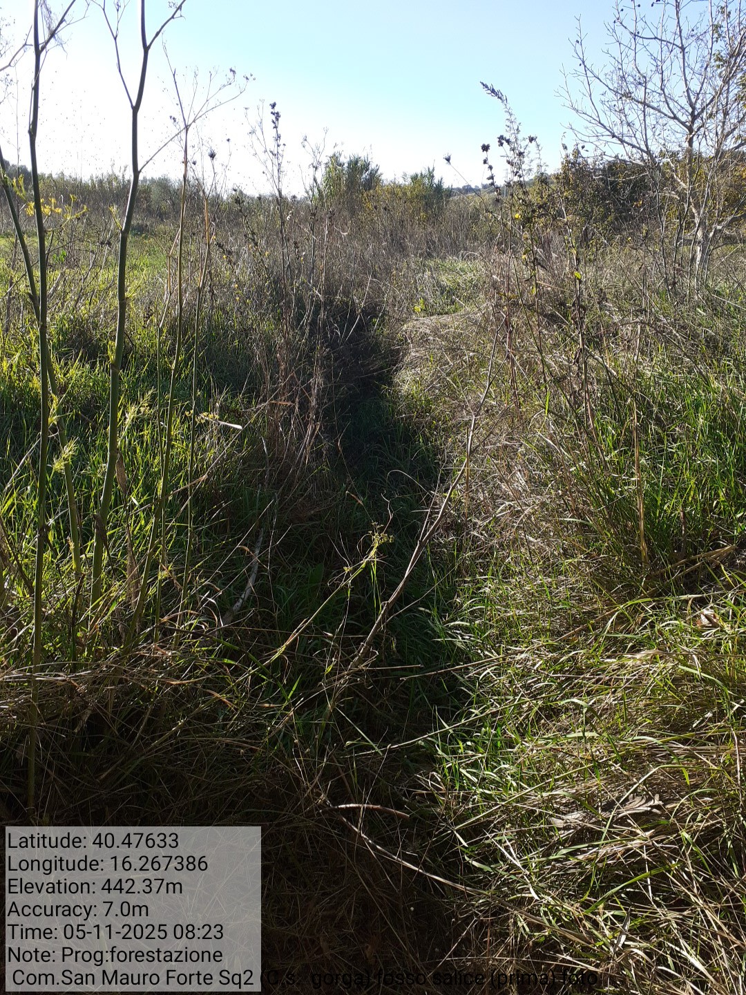 Galleria Fotografica Immagine