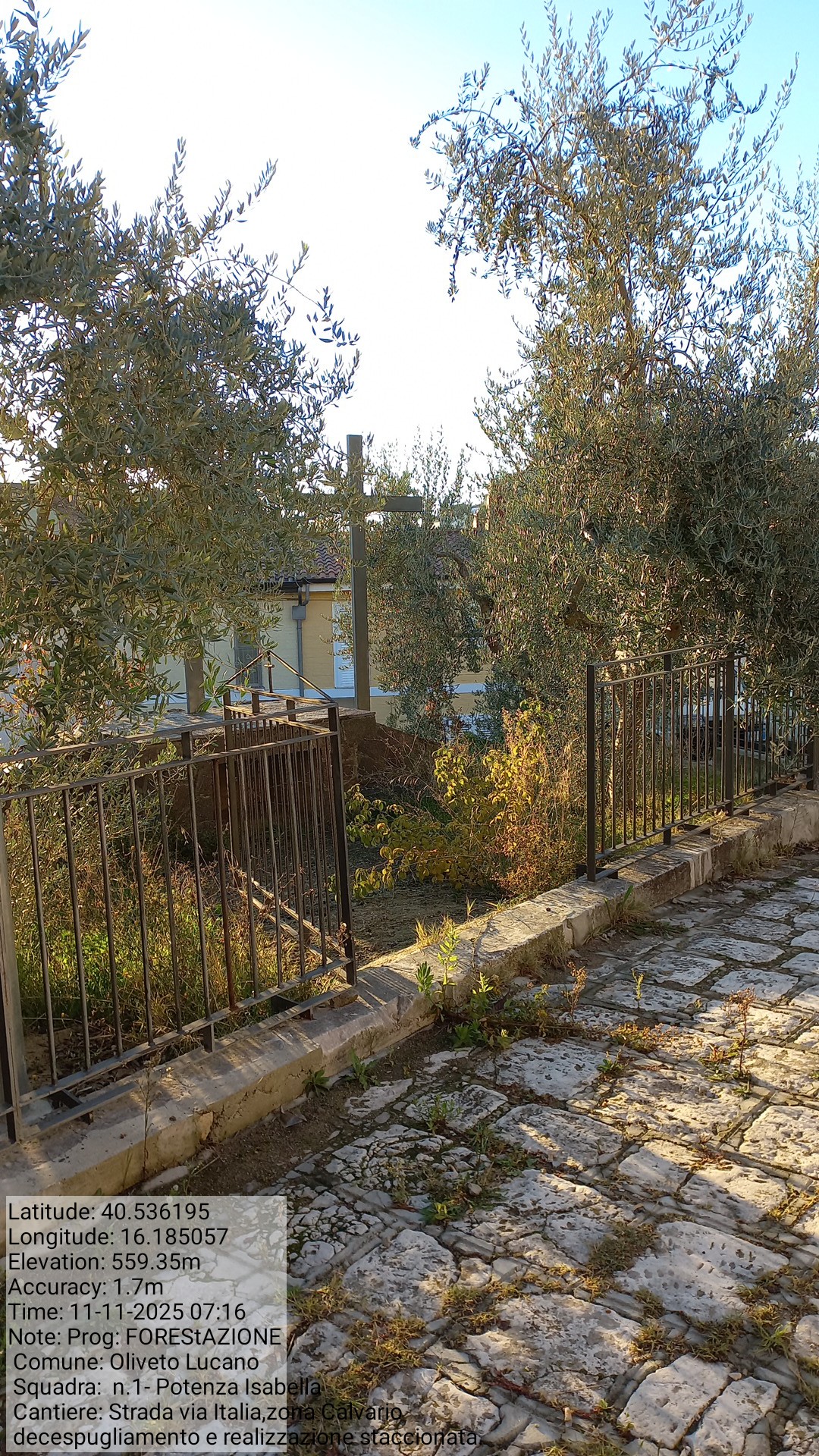 Galleria Fotografica Immagine