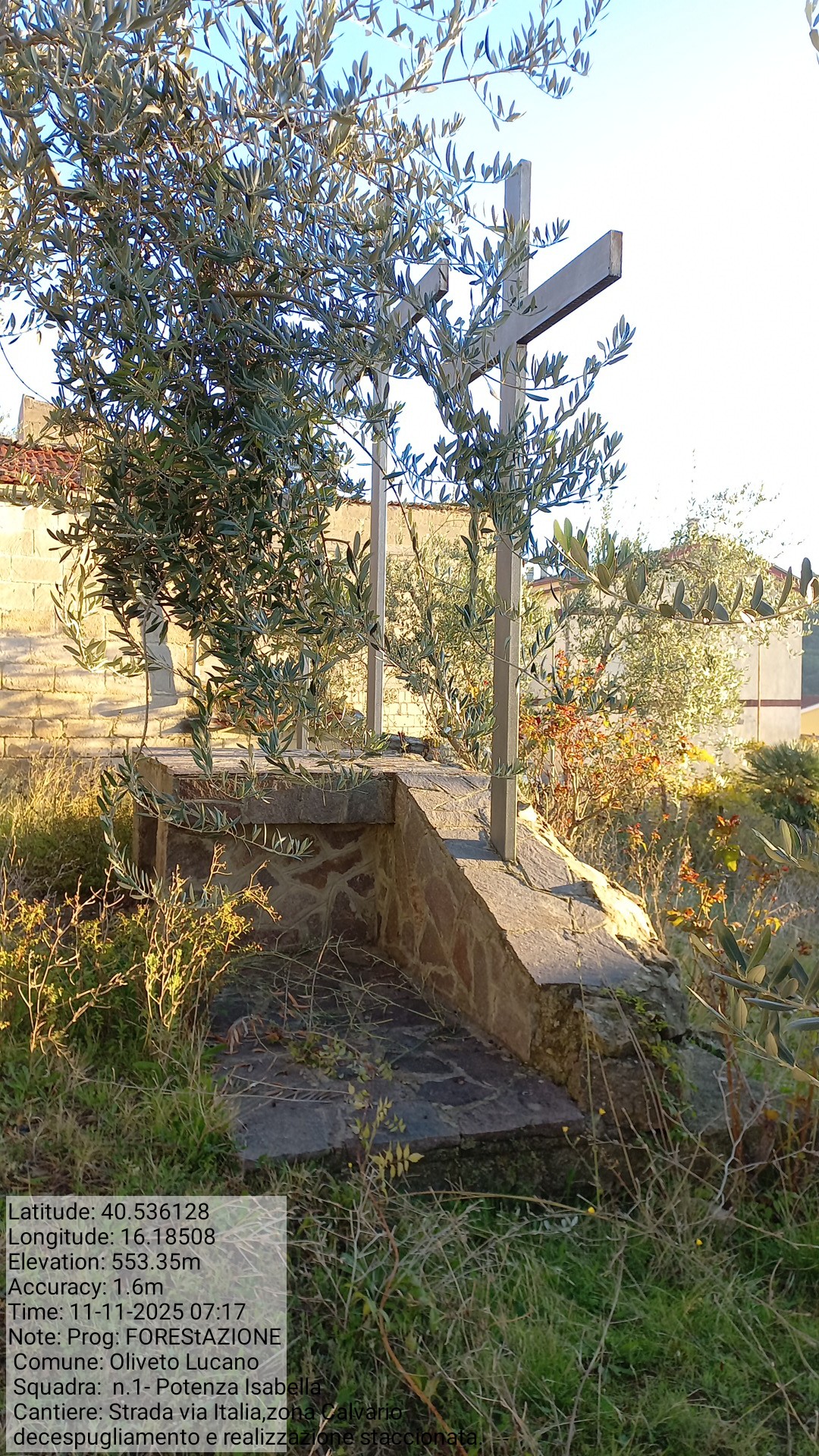 Galleria Fotografica Immagine