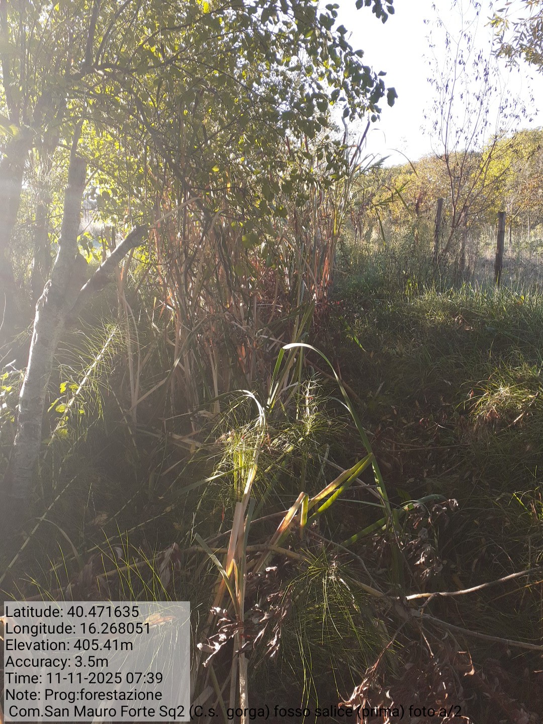 Galleria Fotografica Immagine