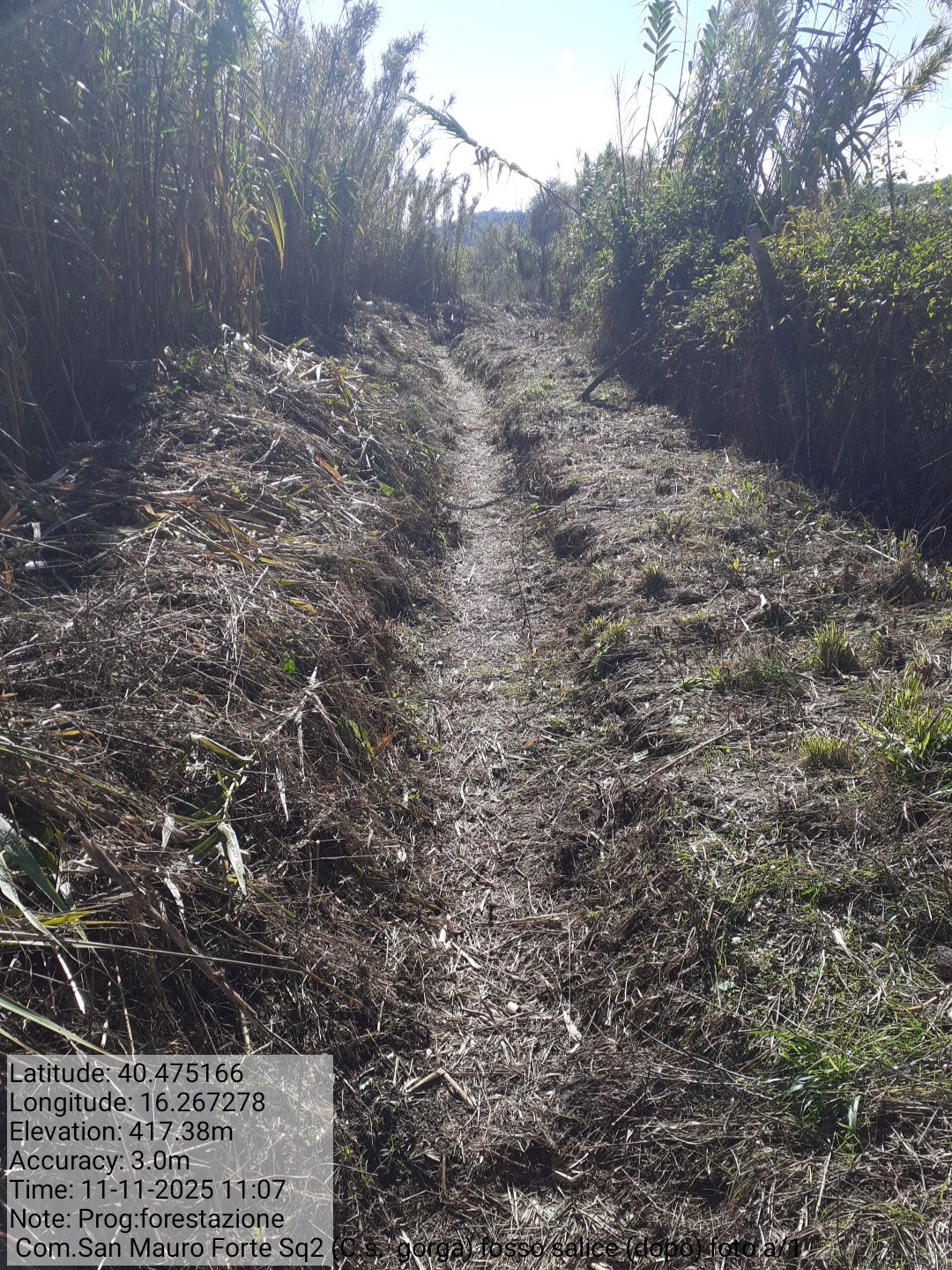 Galleria Fotografica Immagine