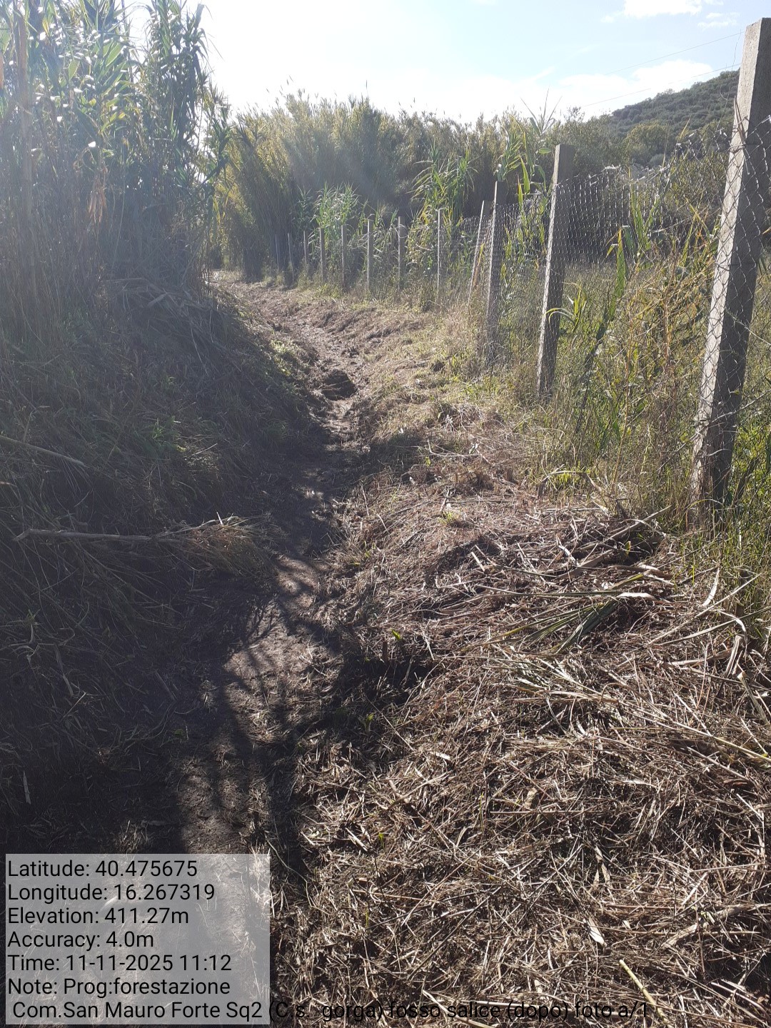 Galleria Fotografica Immagine