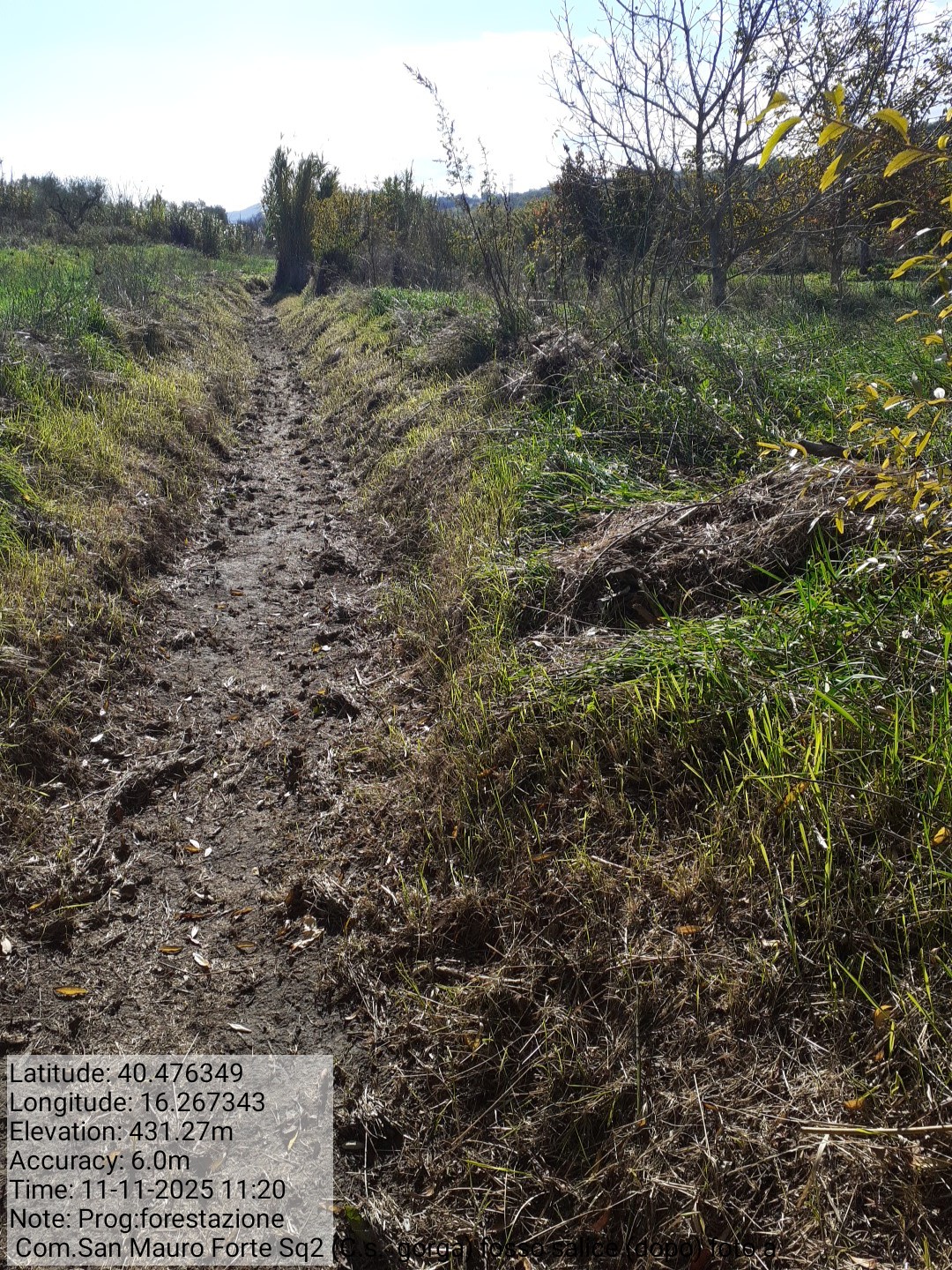 Galleria Fotografica Immagine