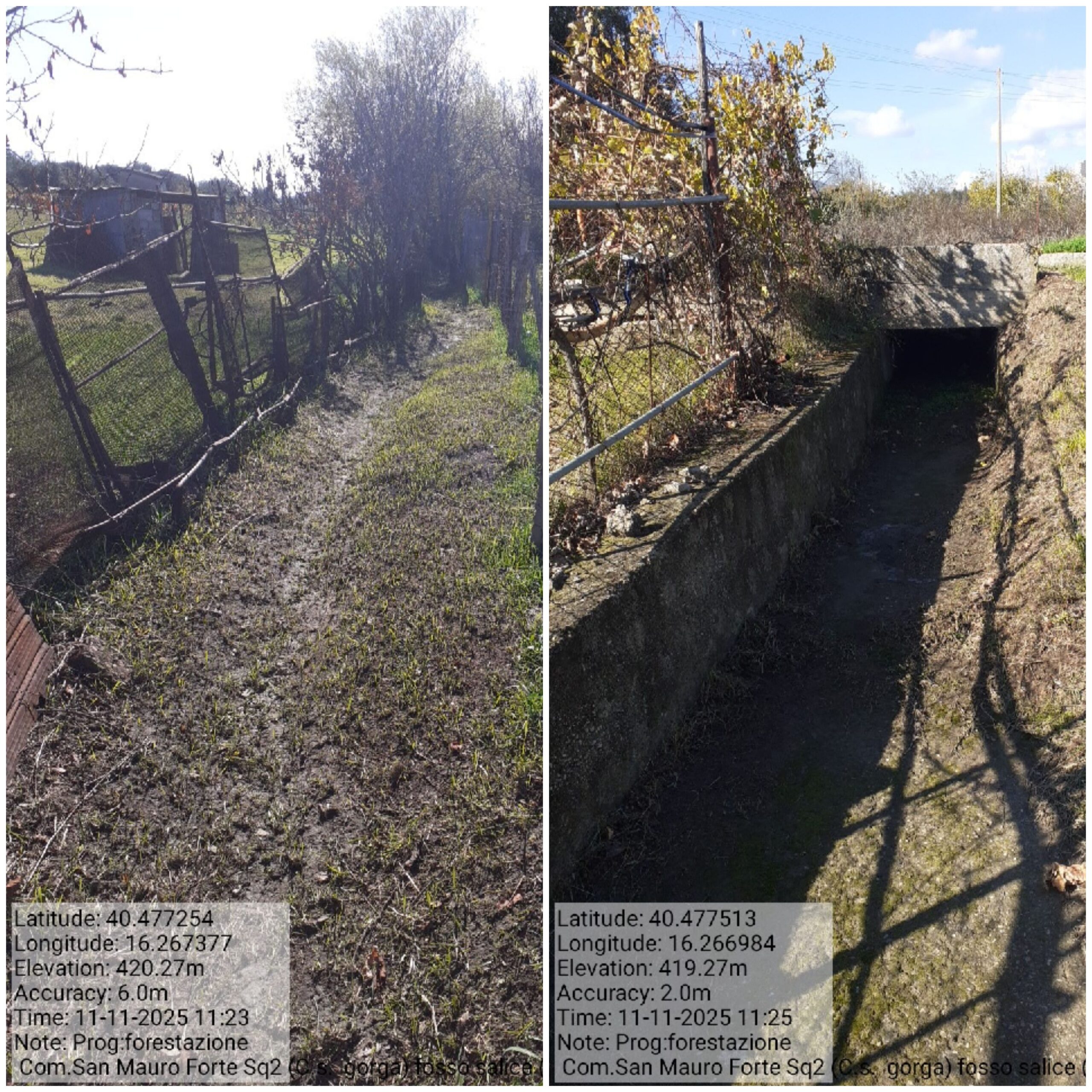 Galleria Fotografica Immagine