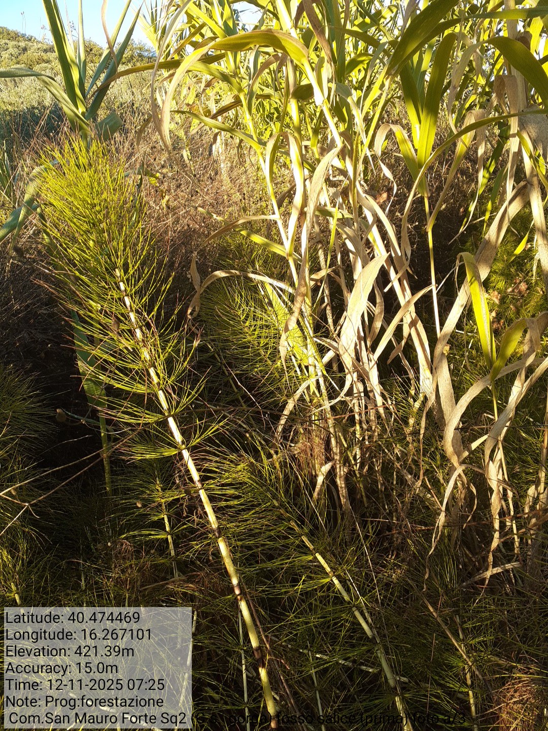 Galleria Fotografica Immagine