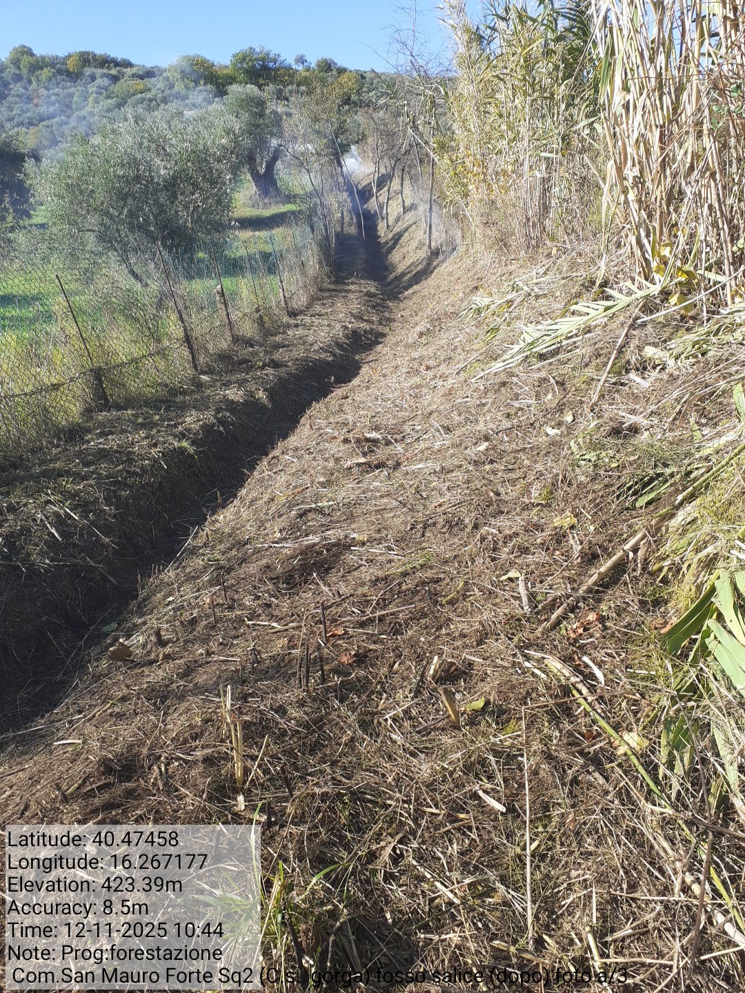 Galleria Fotografica Immagine