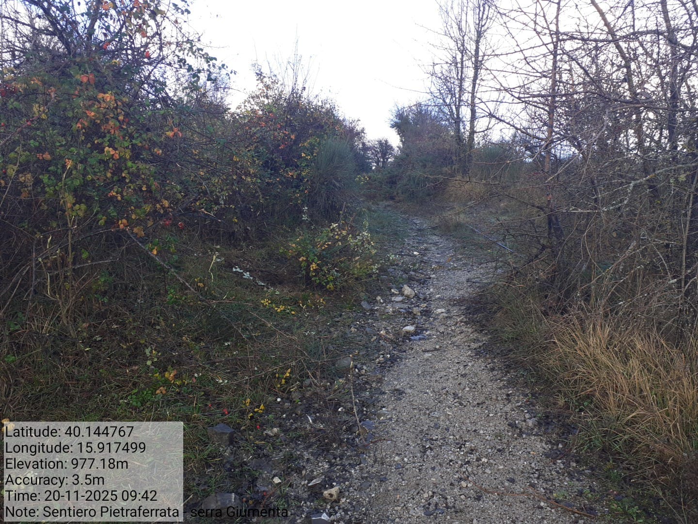 Galleria Fotografica Immagine