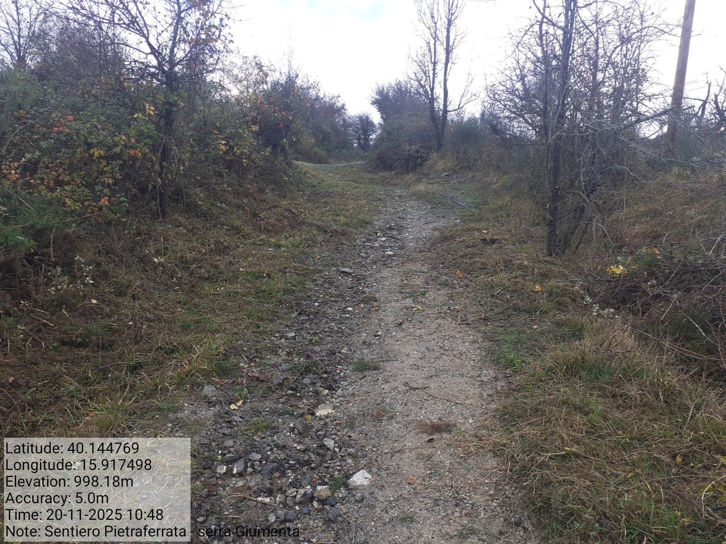 Galleria Fotografica Immagine