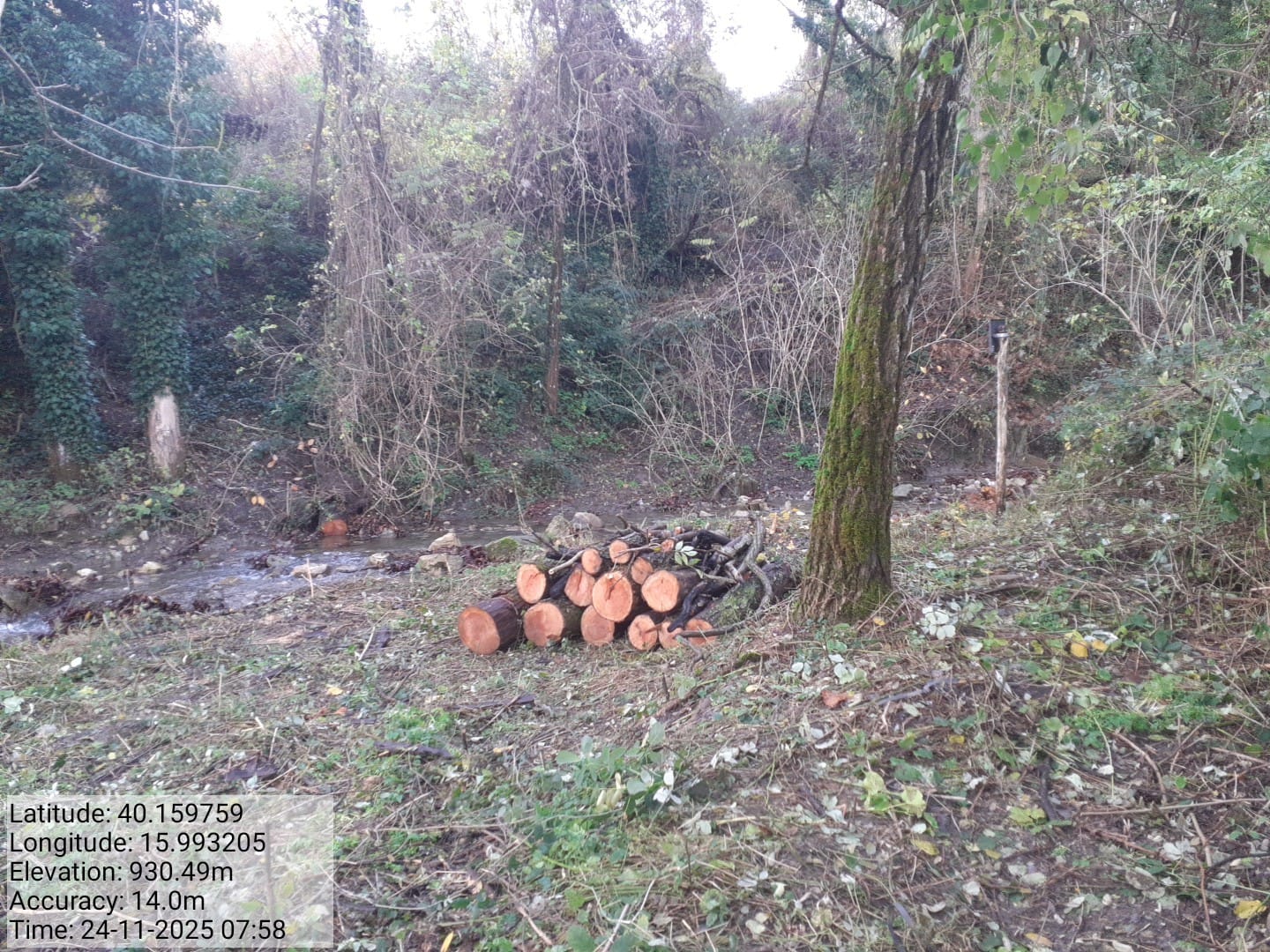 Galleria Fotografica Immagine