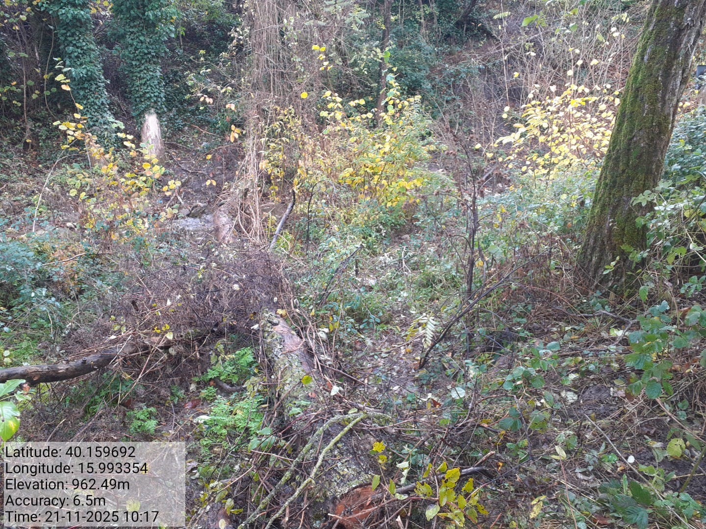 Galleria Fotografica Immagine