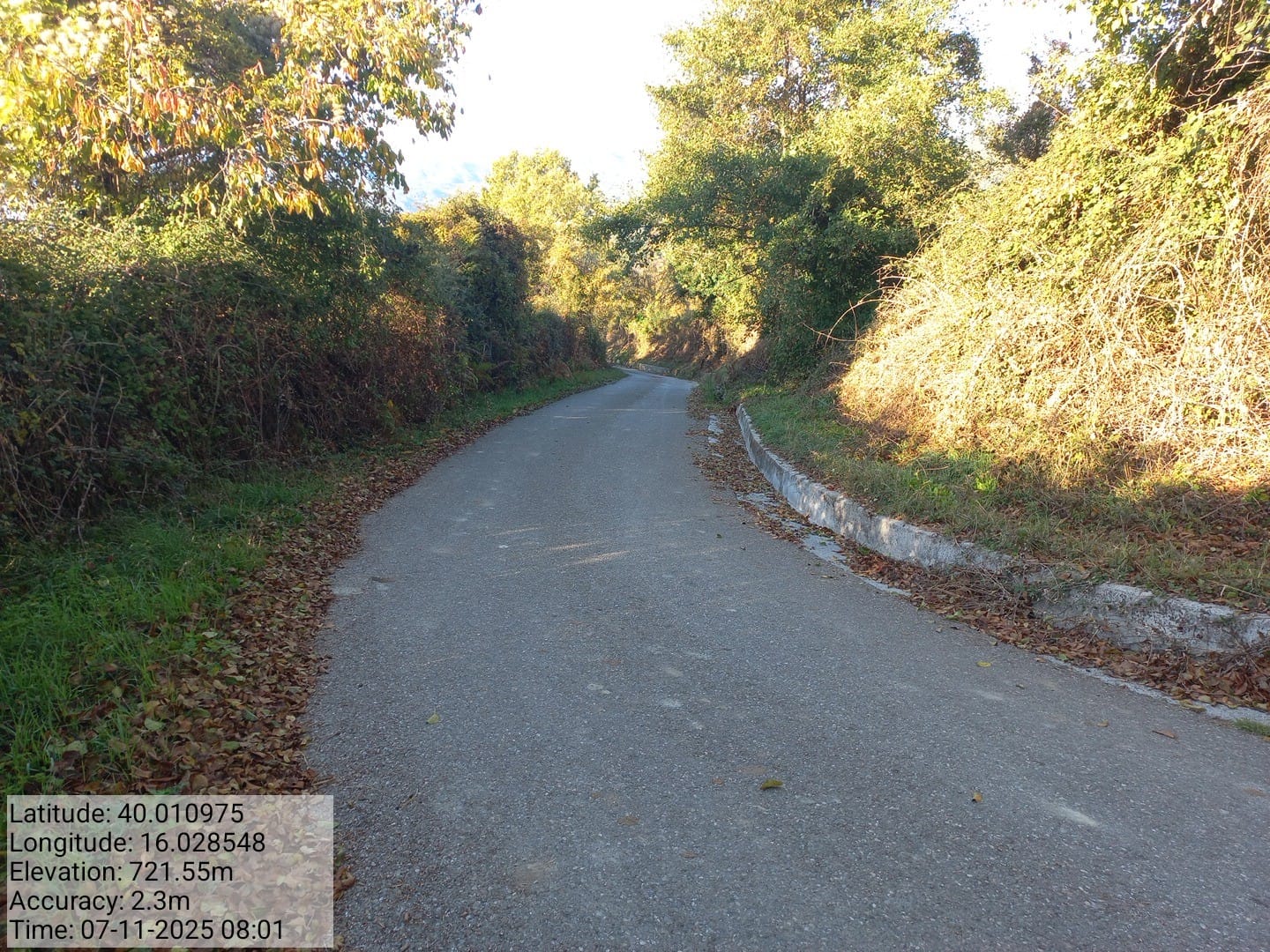 Galleria Fotografica Immagine