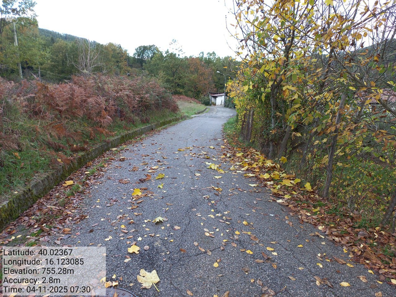 Galleria Fotografica Immagine