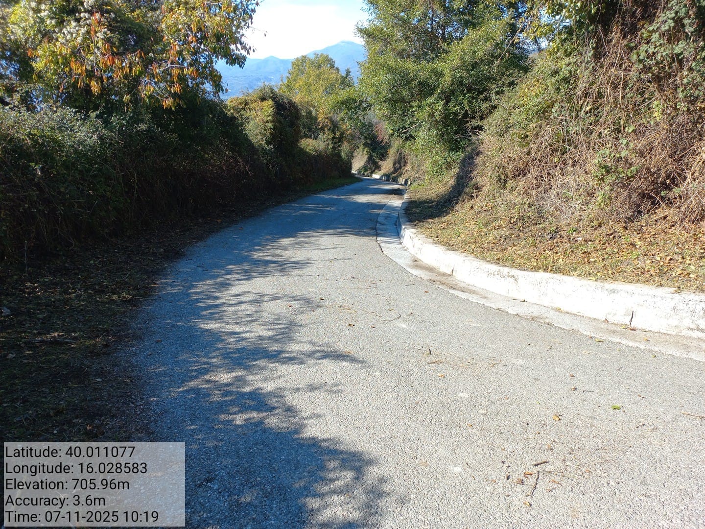 Galleria Fotografica Immagine