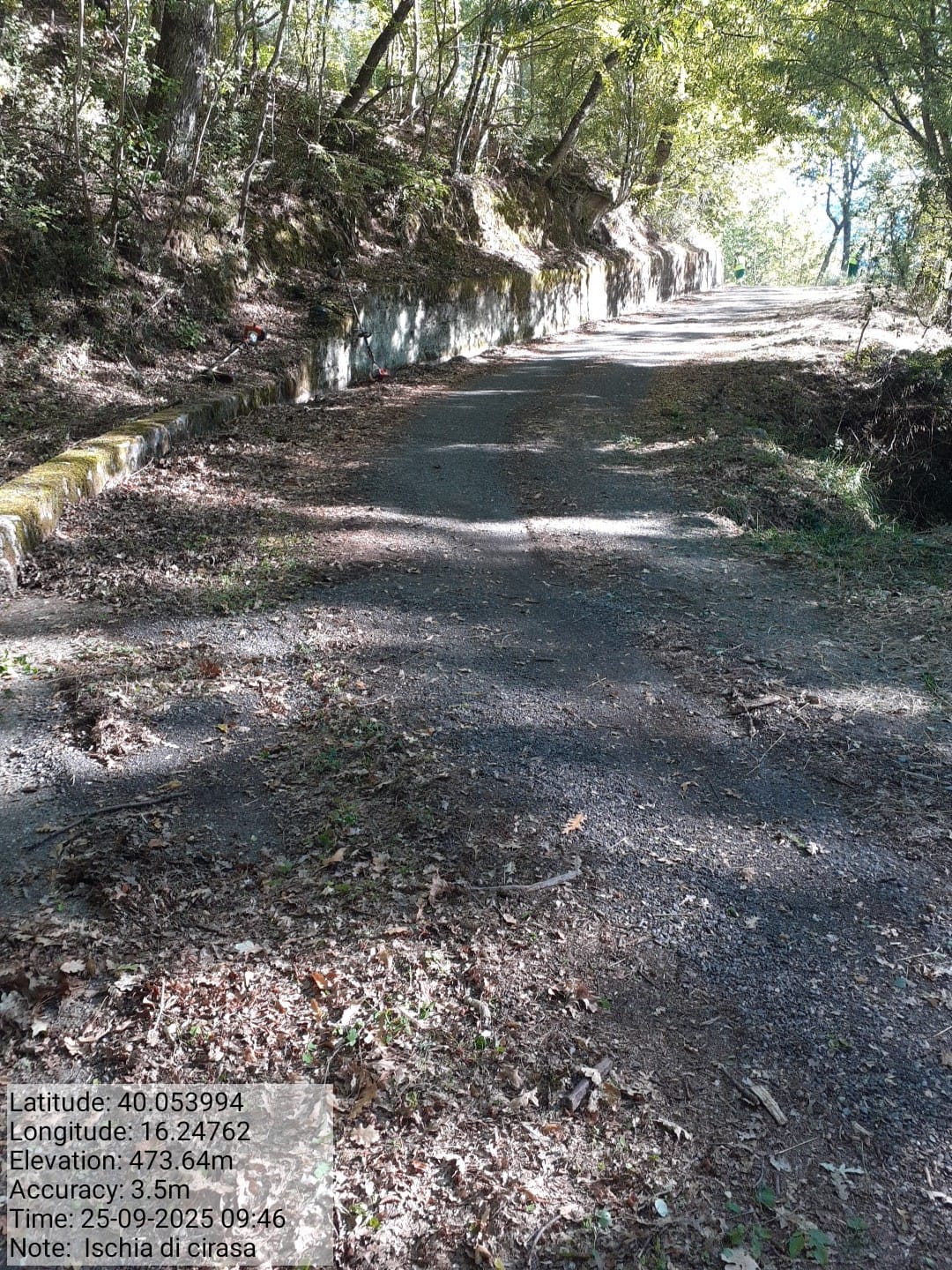 Galleria Fotografica Immagine