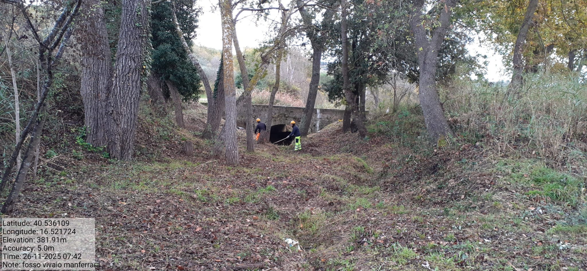 Galleria Fotografica Immagine