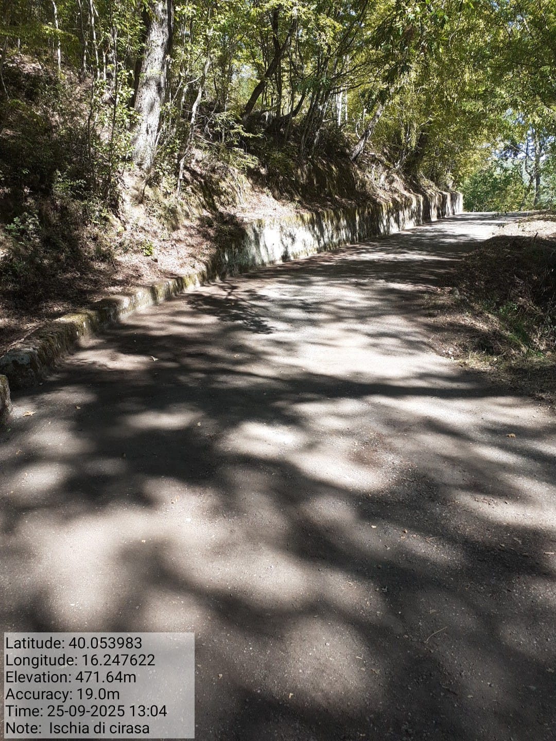 Galleria Fotografica Immagine