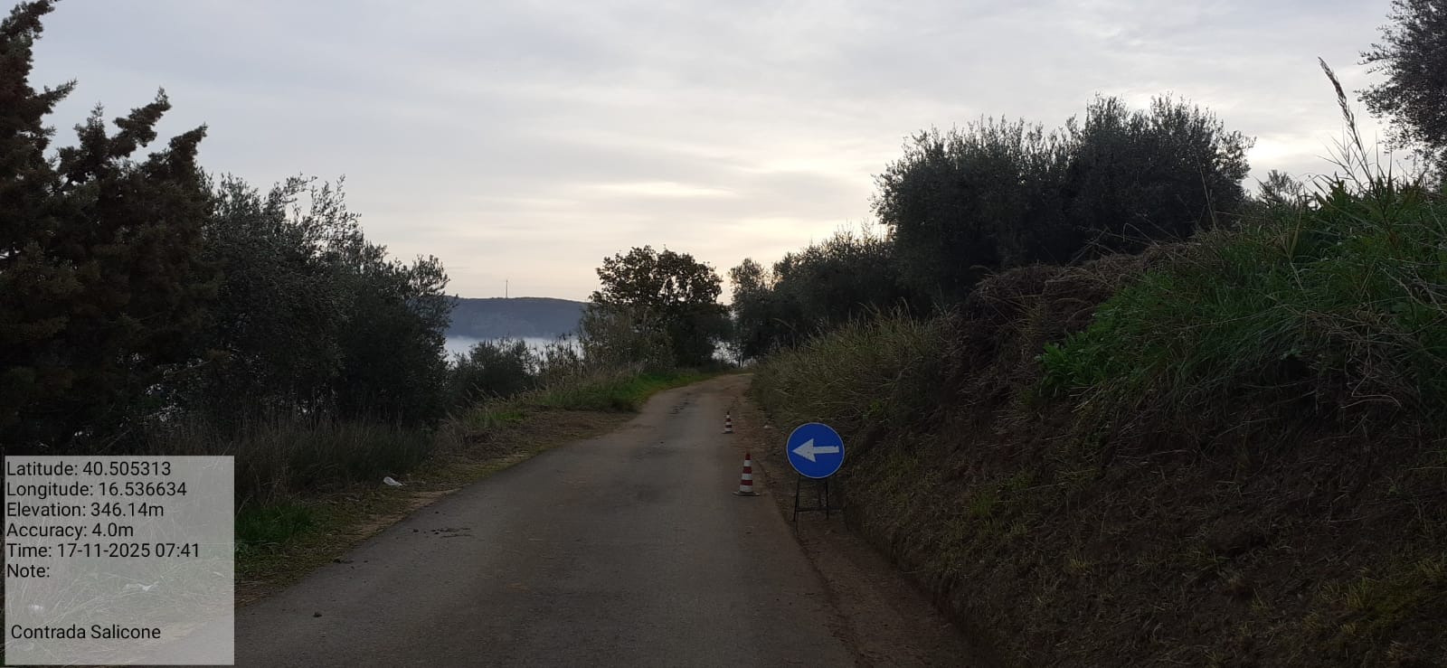 Galleria Fotografica Immagine