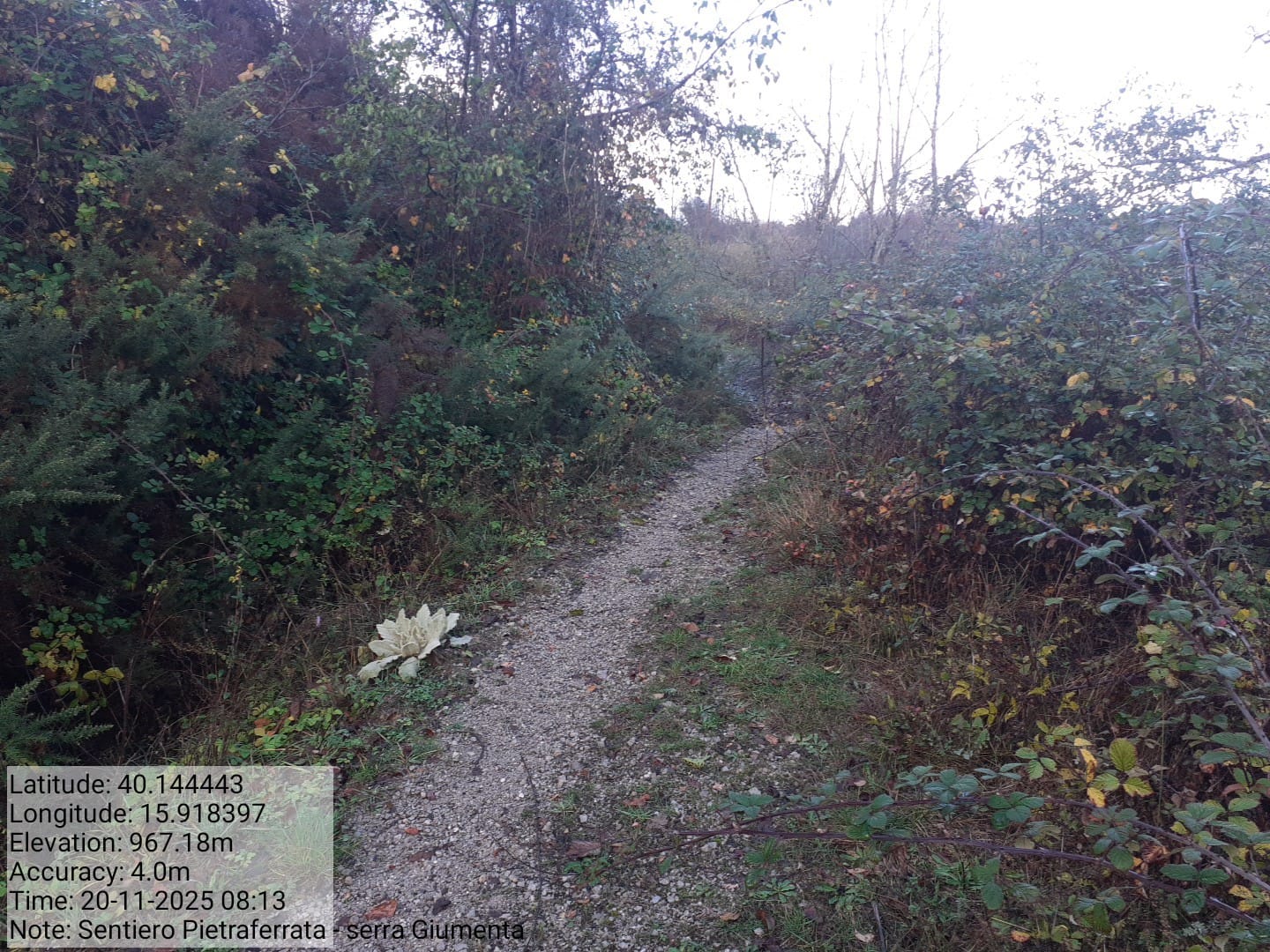 Galleria Fotografica Immagine