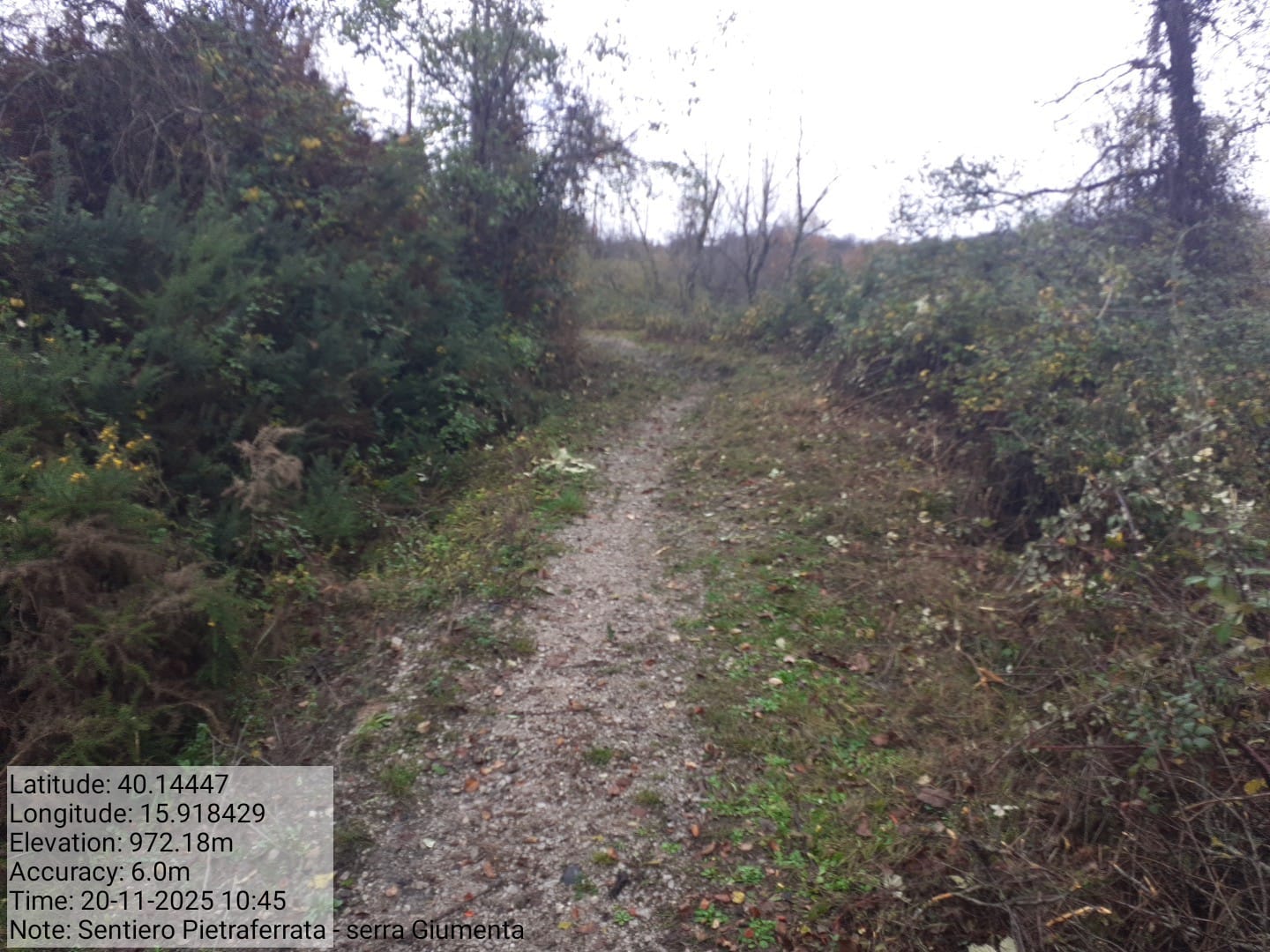 Galleria Fotografica Immagine