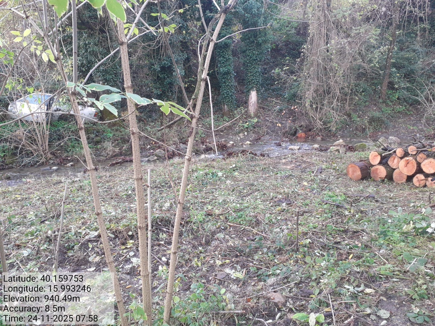 Galleria Fotografica Immagine