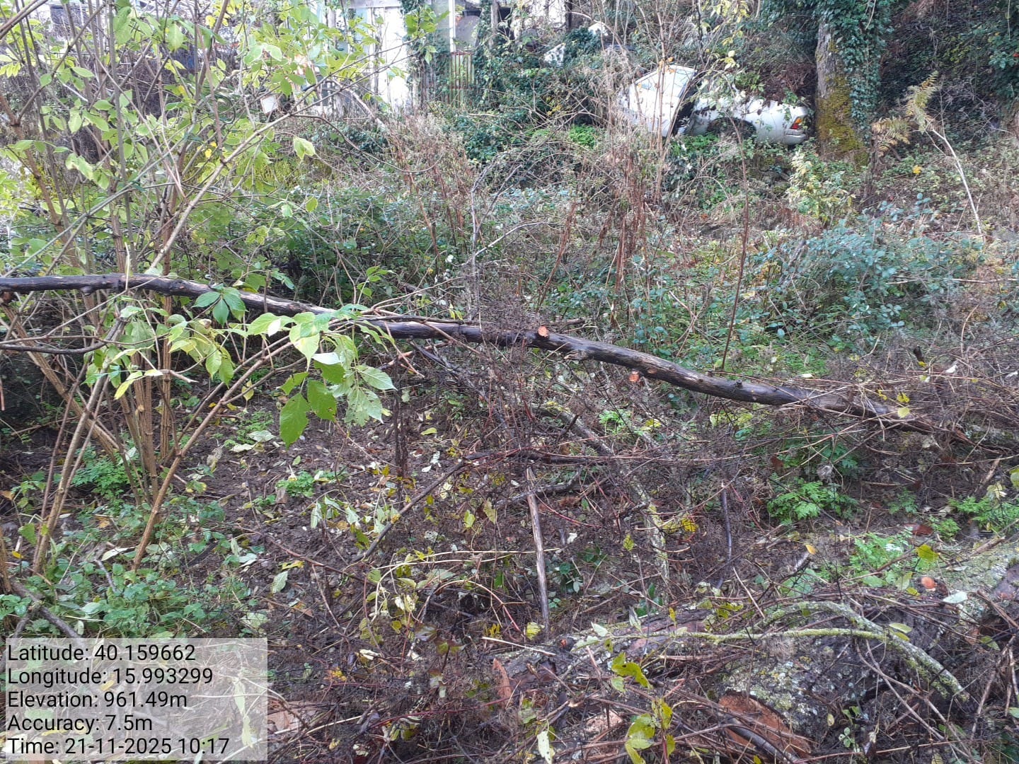 Galleria Fotografica Immagine