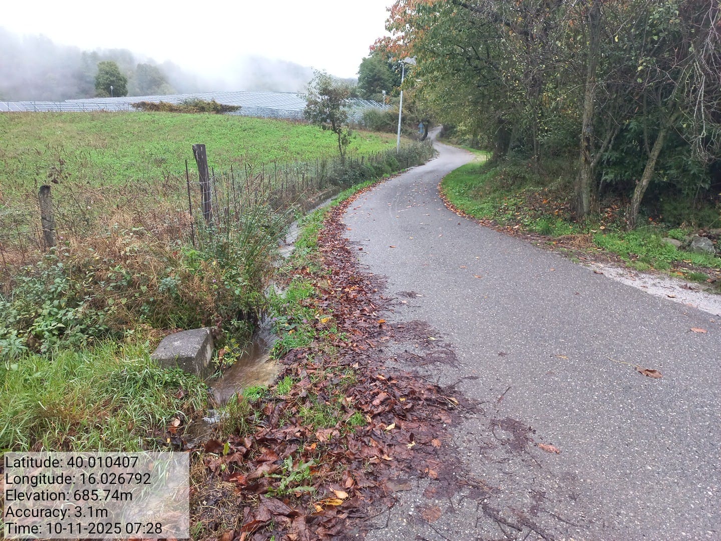 Galleria Fotografica Immagine