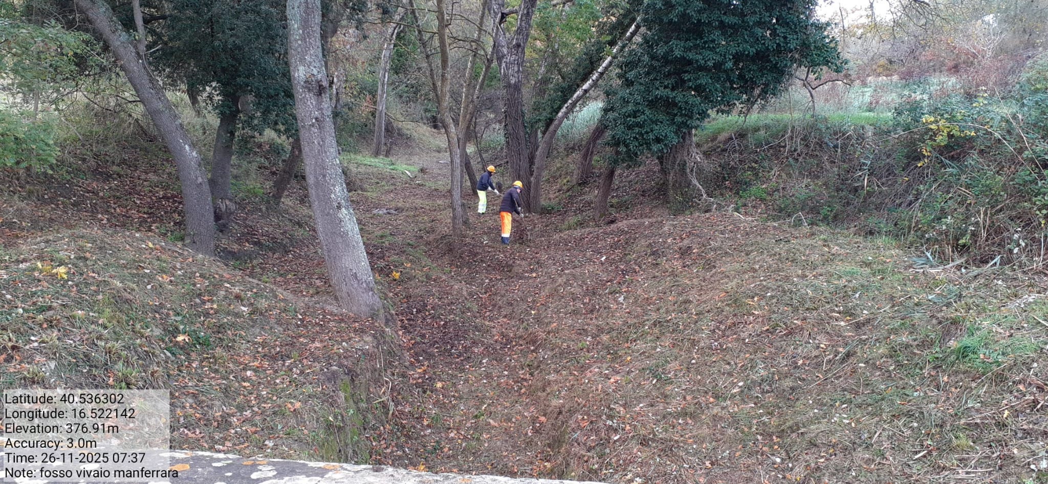 Galleria Fotografica Immagine