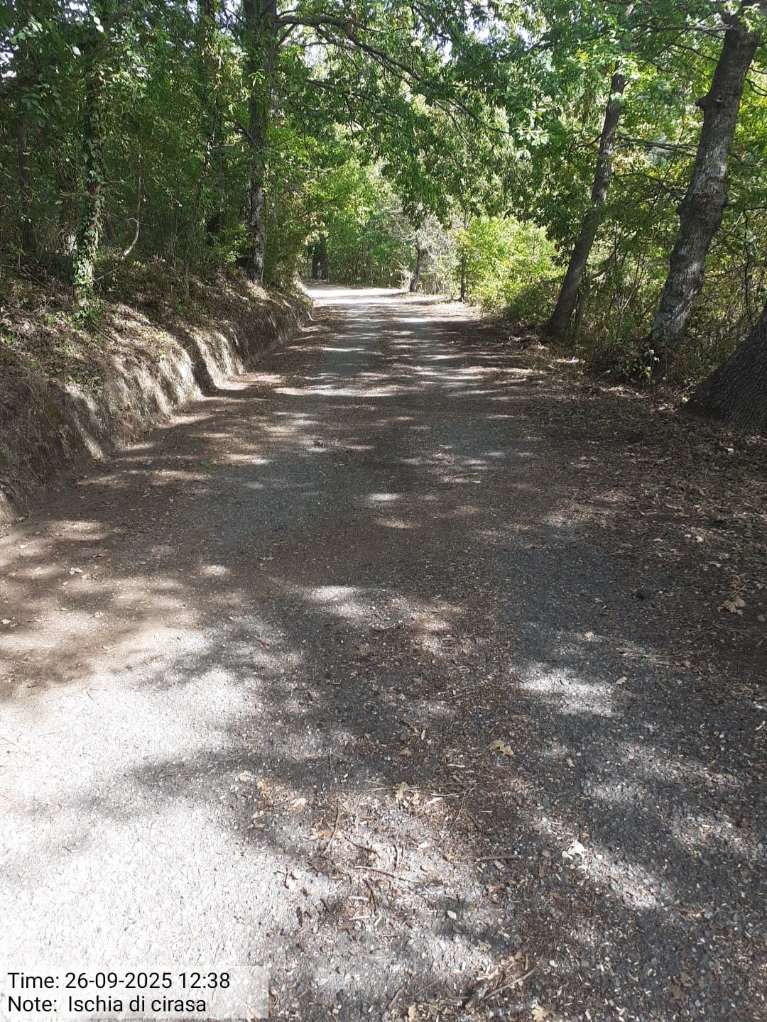 Galleria Fotografica Immagine