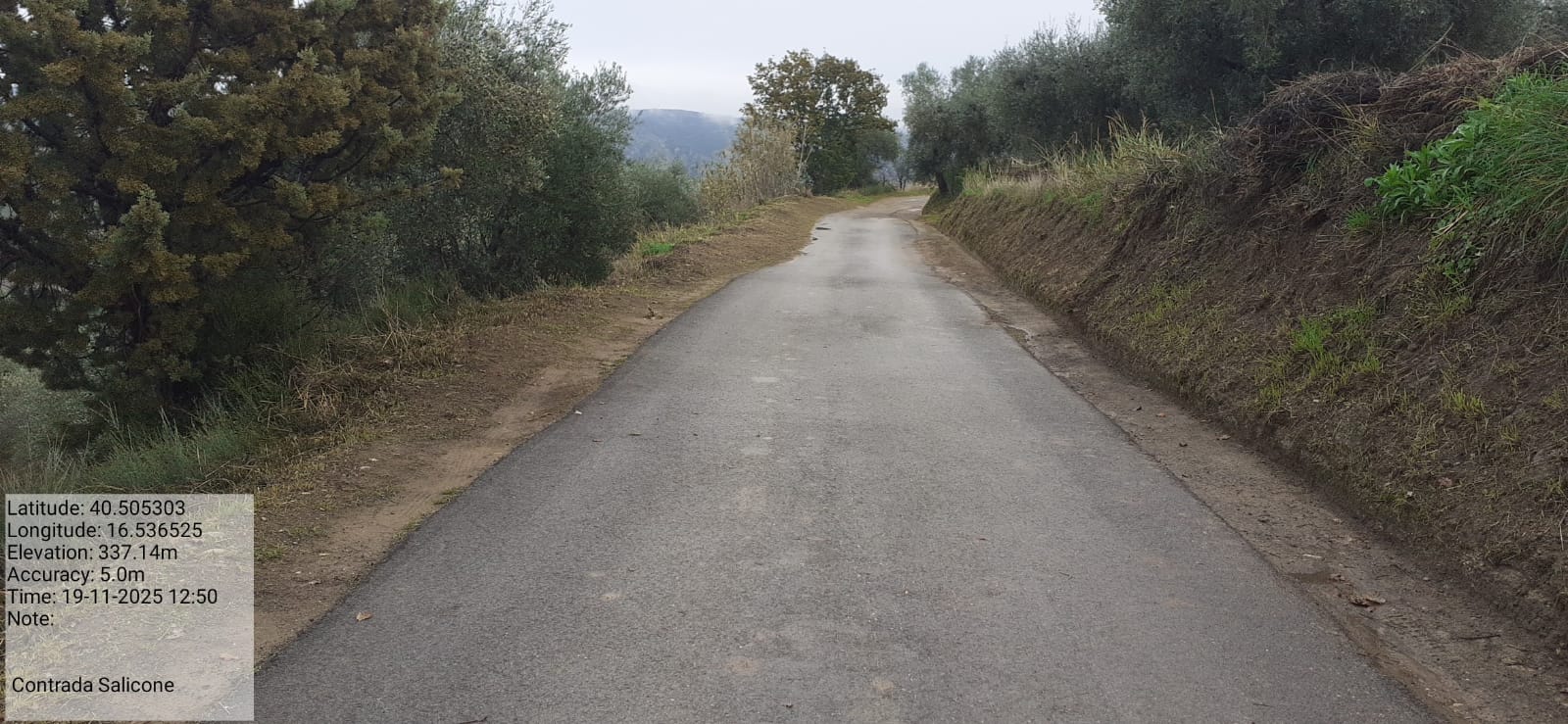 Galleria Fotografica Immagine