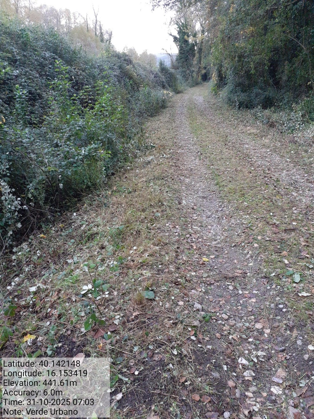 Galleria Fotografica Immagine