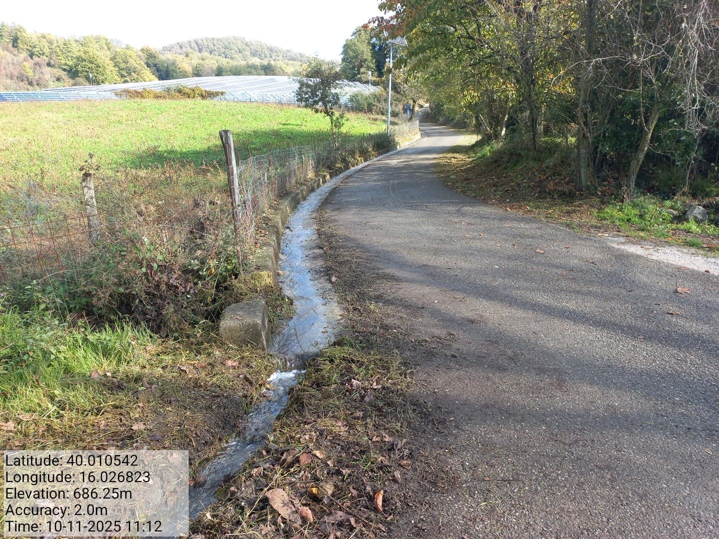 Galleria Fotografica Immagine