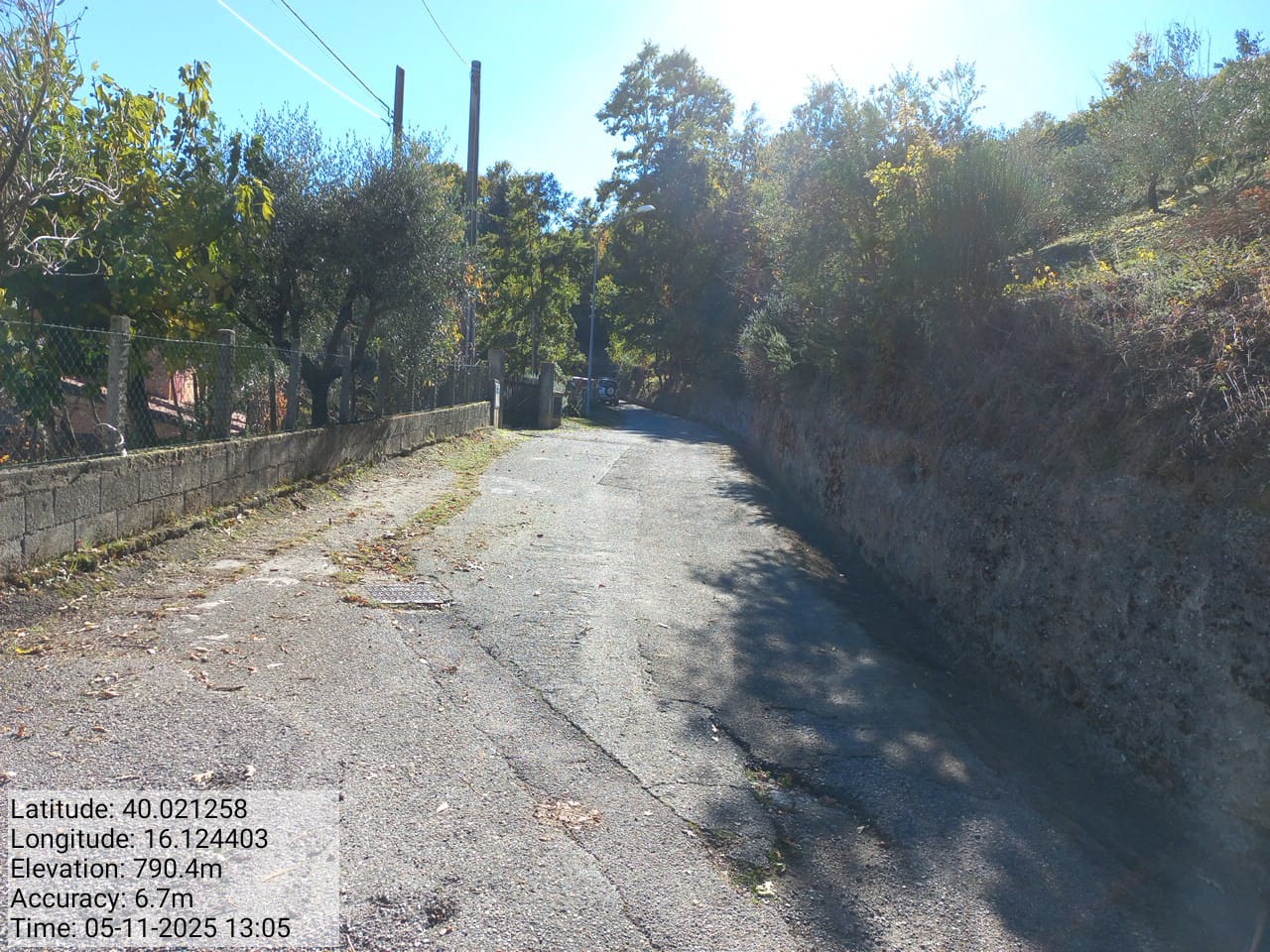 Galleria Fotografica Immagine