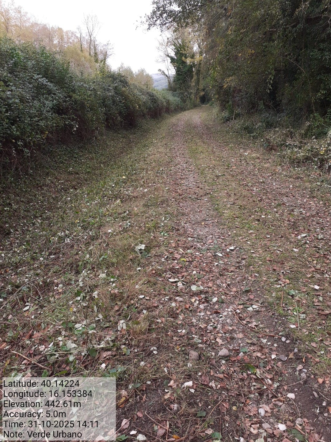 Galleria Fotografica Immagine