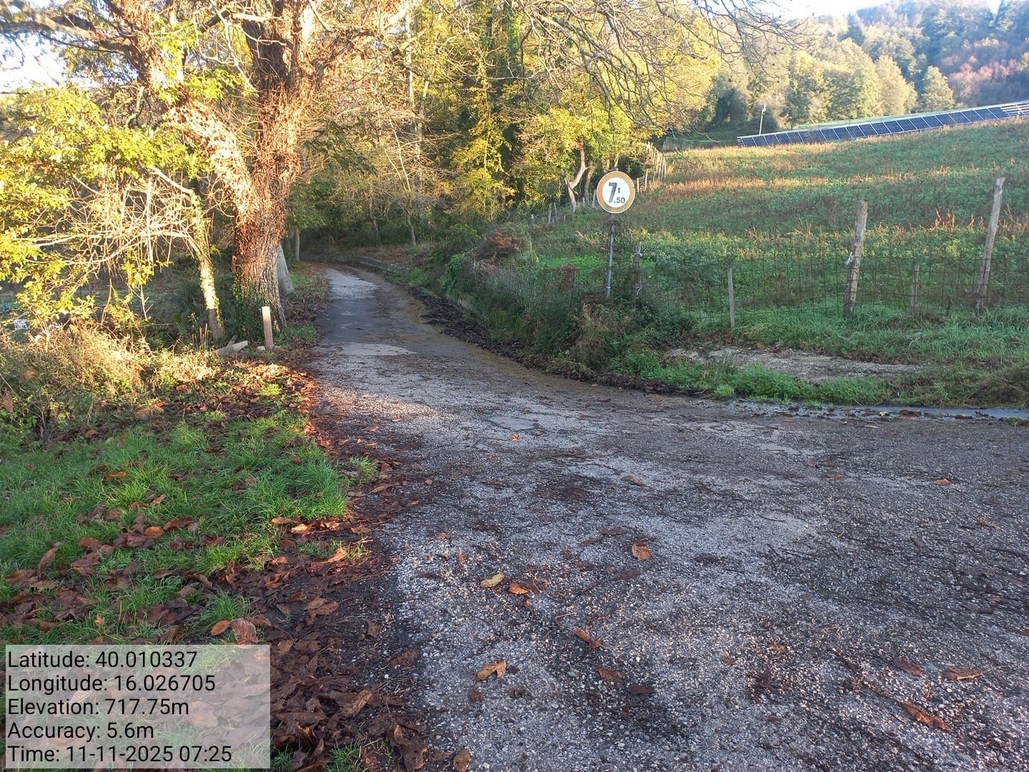 Galleria Fotografica Immagine