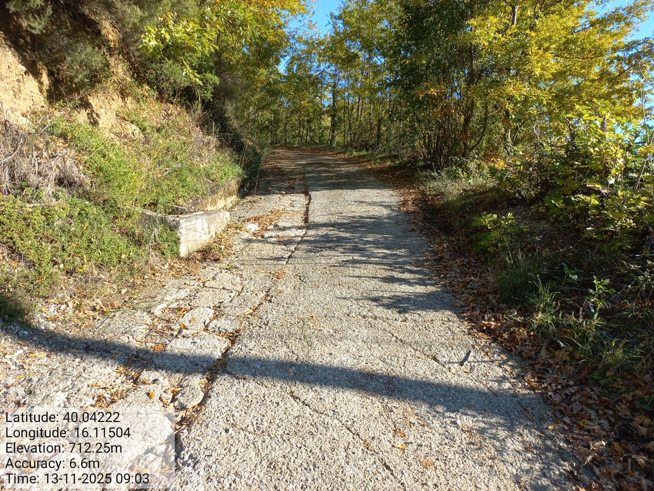 Galleria Fotografica Immagine